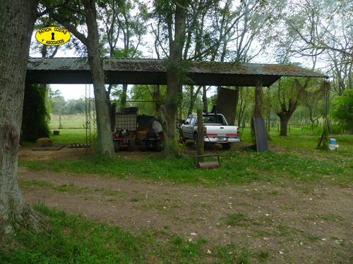 Imagen 22 de 29 de 1554ml-venta 20 Ha, C/ Casa En La Mejor Zona Polera