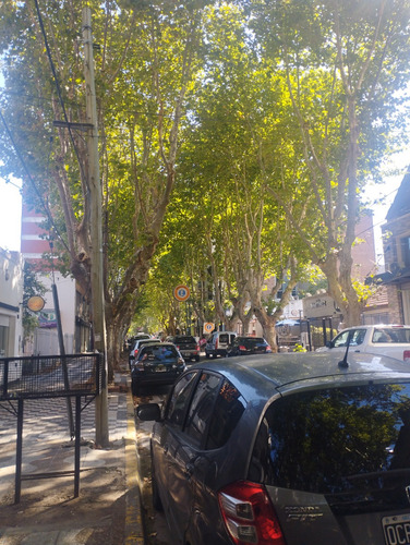 Oportunidad, Estacion Madrid (juanita Jo, Blaque, Santa Clara)