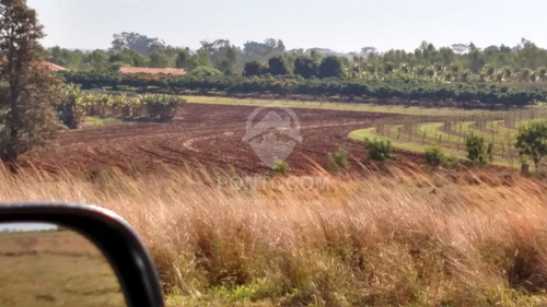 Imagem 11 de 12 de Áreaa Rural- Narandiba - 3840951v