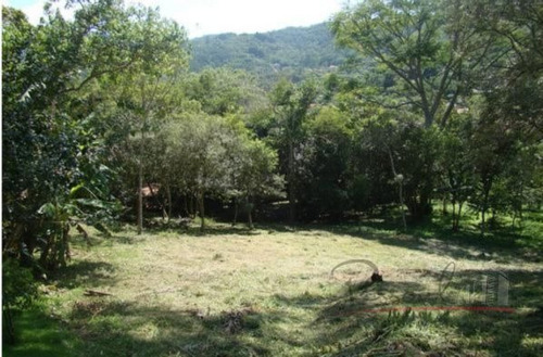Imagem 5 de 6 de Terreno Córrego Grande - V-226