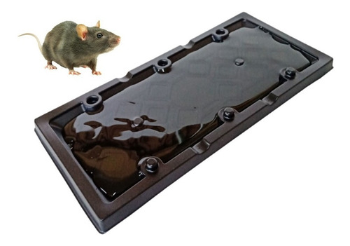 Placa Adesiva Pega Rato Baratas Escorpiões E Outros Insetos