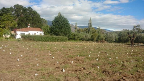Imagen 9 de 14 de Venta De Campo - Rodeo De Piedra Traslasierras, !!