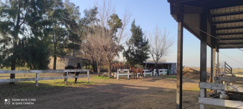 Imagen 16 de 22 de Campo 15 Has En Luis Palacios