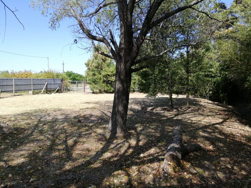 Terreno 1600m2 C/galpón 45m2 Ose Valioso Entorno Rural. R.34