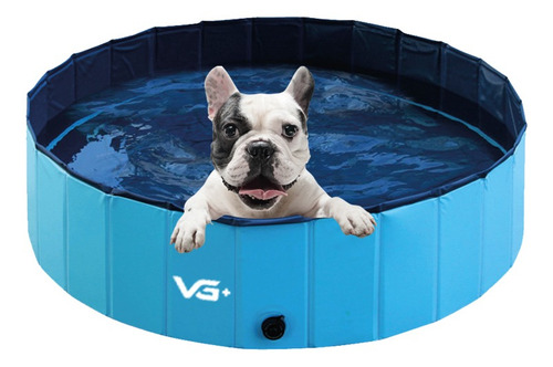 Piscina Para Pets Animais De Estimação 80 Cm X 20 Cm Vg+ Cor Azul