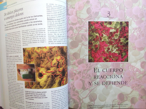 El Asombroso Cuerpo Humano - Reader's Digest (Usado)