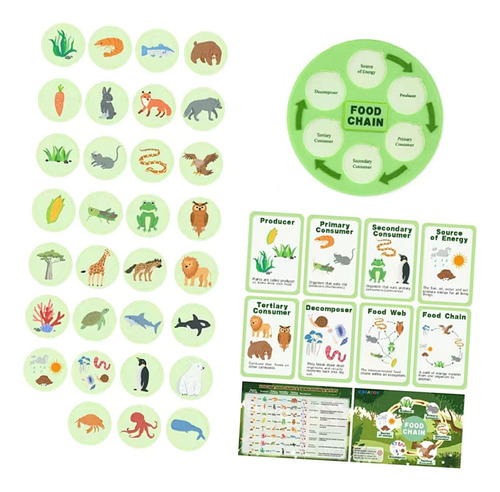 Ciclo De Vida Da Cadeia Alimentar Kit Party Favors Science