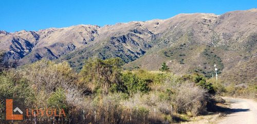 Imagen 16 de 16 de Hermosa Fracción De Bosque En La Zona Mas Alta!!!