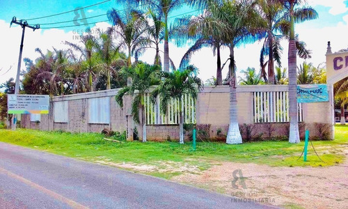 Imagen 3 de 8 de Terreno En Venta Sobre Carretera Ticul, Yucatán. Ctv15.