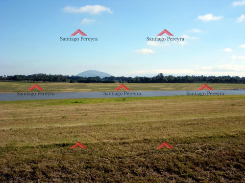 50 Metros De Costa, Acepta Financiacion Sin Interes, Venta, Chacra, Punta Del Este, Uruguay, Laguna De Los Cisnes