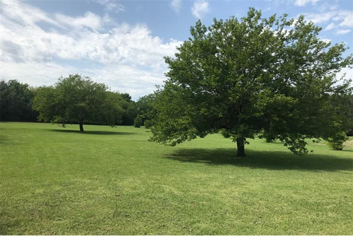 Imagen 17 de 24 de Lotes En Venta Barrio Perimetrado Villa Elisa