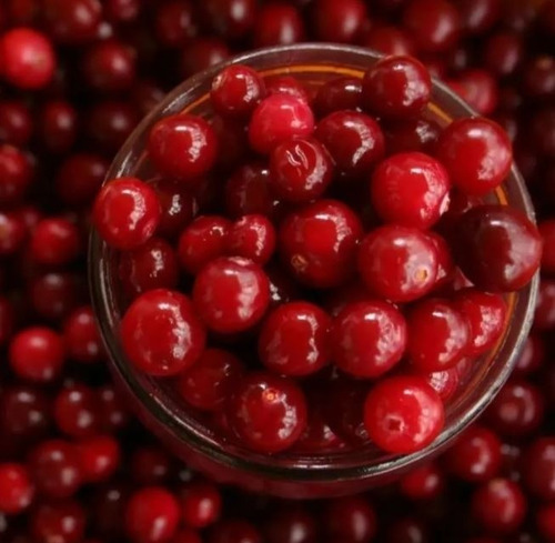 Suplemento Cran Berry 500mg 100 Cápsulas Denature Vitaminas Encapsulados Naturais