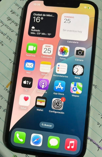 Apple iPhone 12 Pro (256 Gb) - Grafito (Usado)