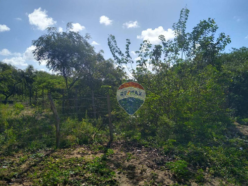 Terreno Em Pium Com 900m² - Loteamento São Pedro - Pium - Nisia Floresta - Te0148