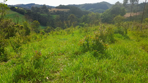 Vende-se Terreno De 26.000 M Com Nascente Dentro Da Propried