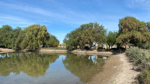 Venta | Finca | Anchoris | Tupungato | Mendoza