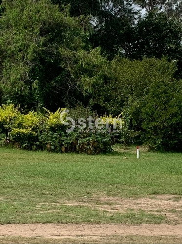 Imagen 8 de 13 de Venta De Lotes, Camino Lussich, Maldonado.