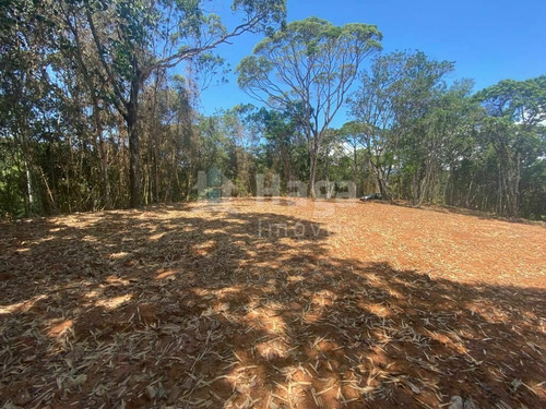 Imagem 5 de 9 de Terreno À Venda No Bairro Rio Do Braço - São João Batista/sc - 2191t