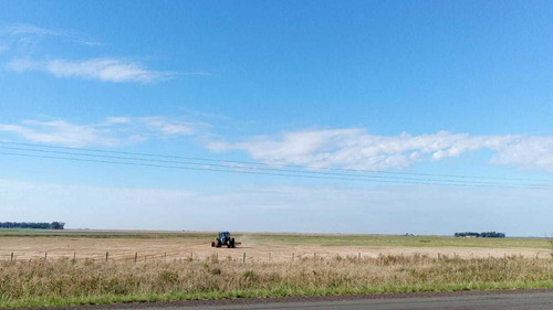 Imagem 8 de 10 de Fazenda Com 3750 Hectares Para Lavoura Em Itaqui - Rs