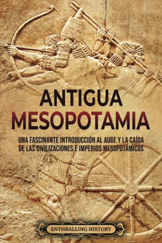 Libro: Antigua Mesopotamia: Una Apasionante Visión De La His