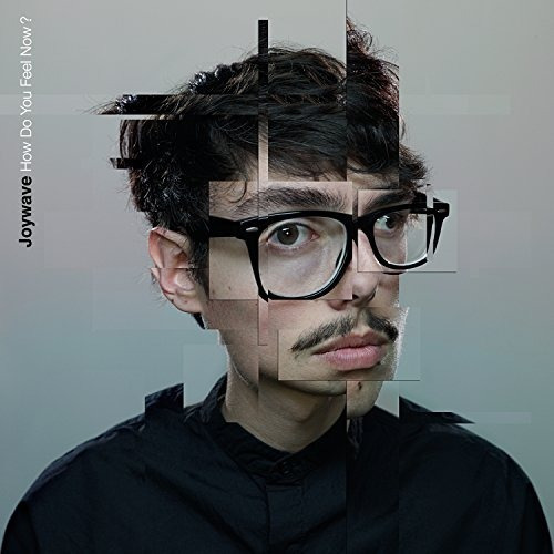 Joywave How Do You Feel Now Usa Import Cd Nuevo 