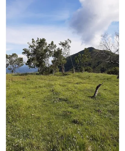 Se Vende Lote En Sanjeronimo (antioquia) 20 Hectáreas + 8.000 Mtr2
