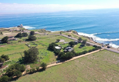 Pionero - Mirador Punta De Lobos