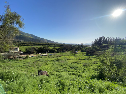 Sector La Palma, Quillota