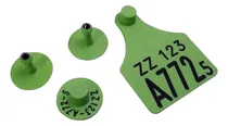 Comprar Caravana Allflex Senasa X 50 Unidades (tarjeta + Boton) Color Verde