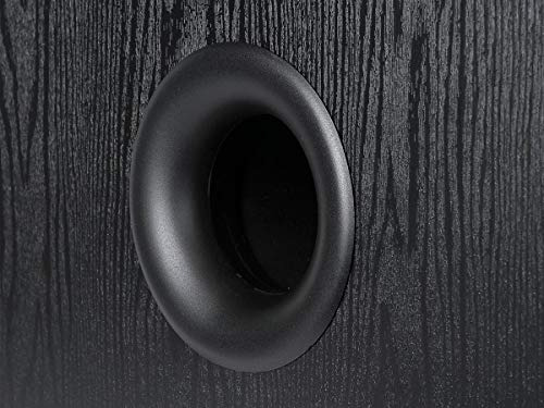 Inch Watt Powered Subwoofer Negro