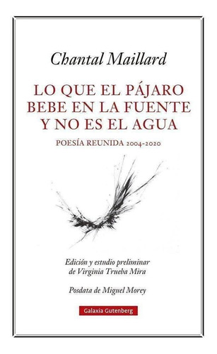 Libro Lo Que El Pajaro Bebe En La Fuente Y No Es El Agua