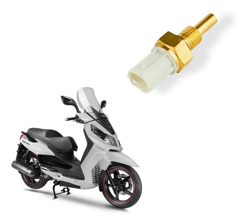 Sensor De Temperatura Agua Motor Dafra Citycom 300i Original