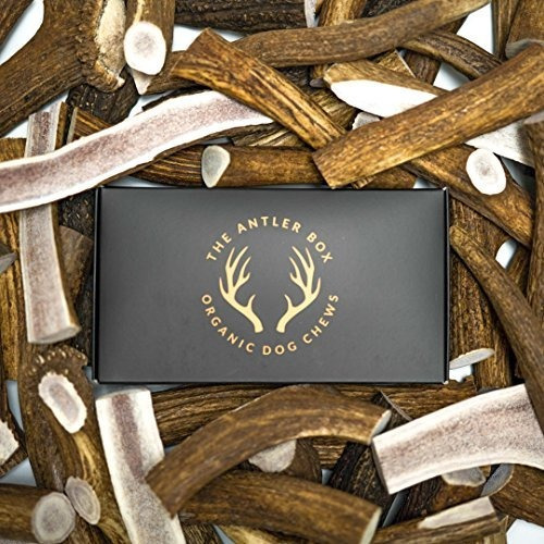 El Box-premium Elk Cuerno Perro Mastica La Cornamenta (1 Lb 