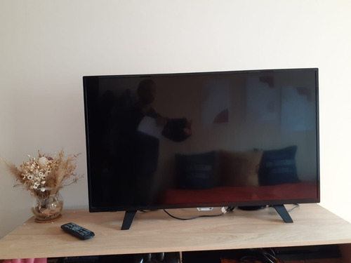 Tv Philips  42pfg5011/77 Led Full Hd 42  