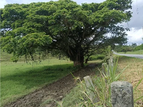 Se Vende Finca Vía Barragan - Rio Verde