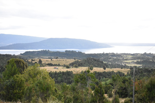 Parcelas En Rupanco, Los Lagos