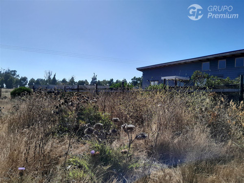 Agrícola En Venta En Quintero