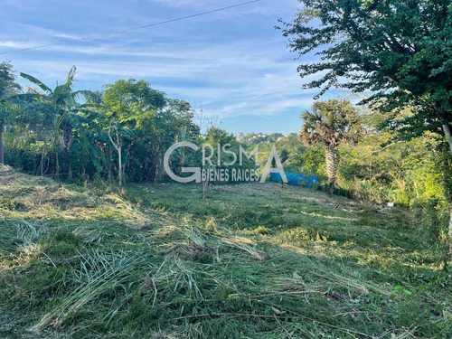 Terreno En Venta En Infonavit Las Granjas
