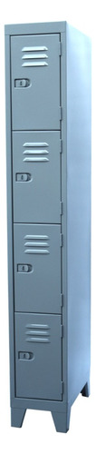 Lockers Metalico 4 Puertas Angostas - Bolsonero 6 Pagos