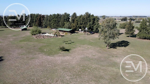 Venta Cabaña Sobre Gran Fracción De 4 Lotes Presidente Perón