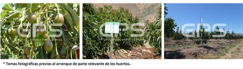 Ruta 47 / Río Choapa