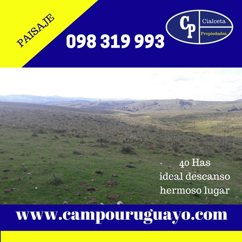 40 Hectáreas, Paisaje, Excelentes Vistas
