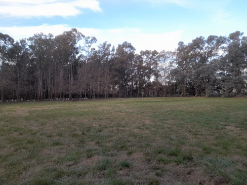 Particular Alquila Parcela/lote En Zona Ruta 36 La Plata