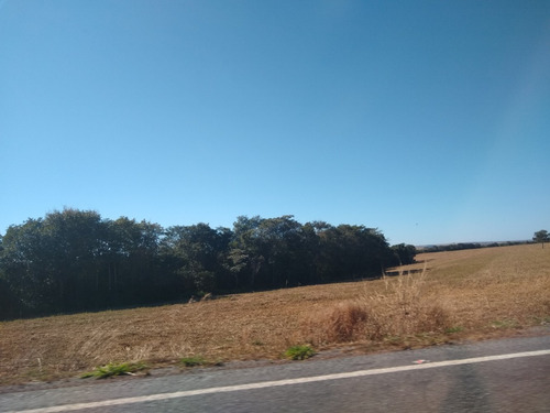 Procuramos Fazendas / Heranças Litigiosas / Imoveis(4500)