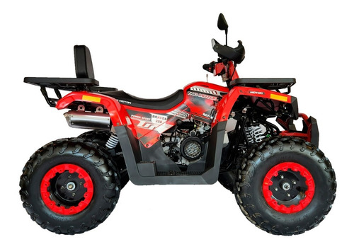 Imagen 6 de 15 de Cuatrimoto Tao Hunter Braves 250