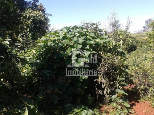Chácara Com 2 Dormitórios À Venda, 4746 M² Por R$ 1.250.000 - Jardim Monte Carlo - Ribeirão Preto/sp - Ch0023