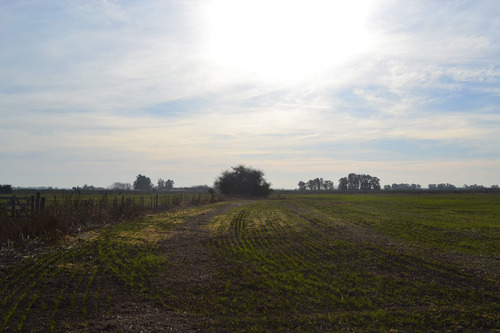 Imagen 13 de 13 de Campo En Venta En Cañuelas Sobre Ruta 6 , Km 99