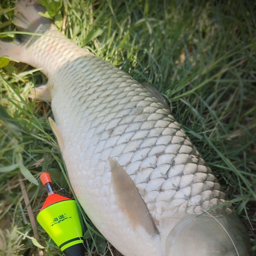.. Flotador Bobber Portátil Con Flotador De Pesca Automático