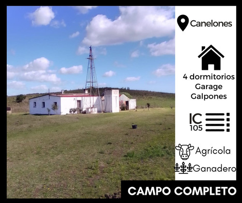 Campo Agrícola Ganadero En Canelones