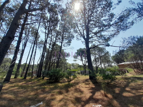 Imagen 5 de 16 de Venta De Lote En Barra Verde, La Barra, Uruguay - La Barra Barra Verde